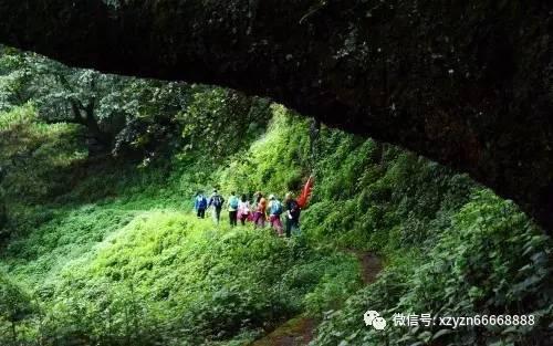 拯救米乐米可