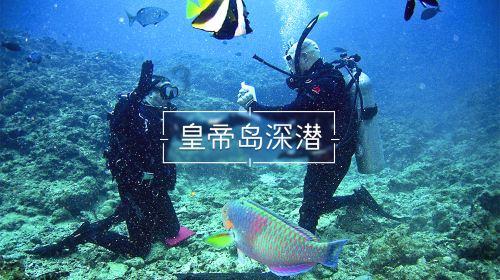 神秘的午夜