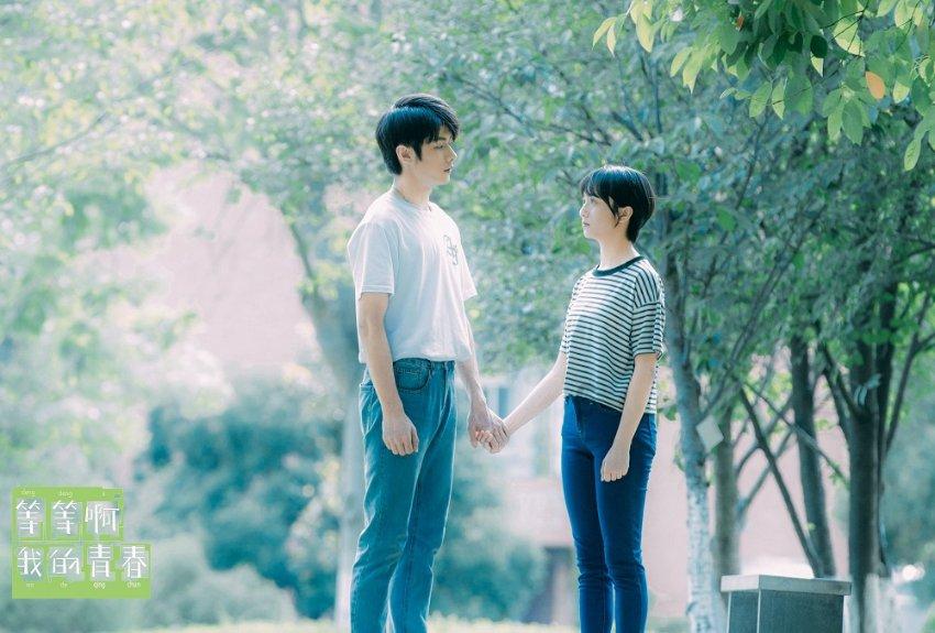 幼崽救援行动选关版