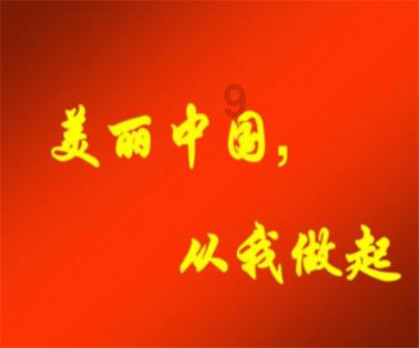 金币放置