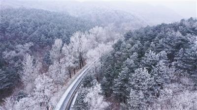 迷你高尔夫大挑战选关版